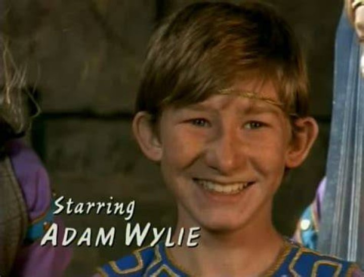 Adam Wylie Net Worth