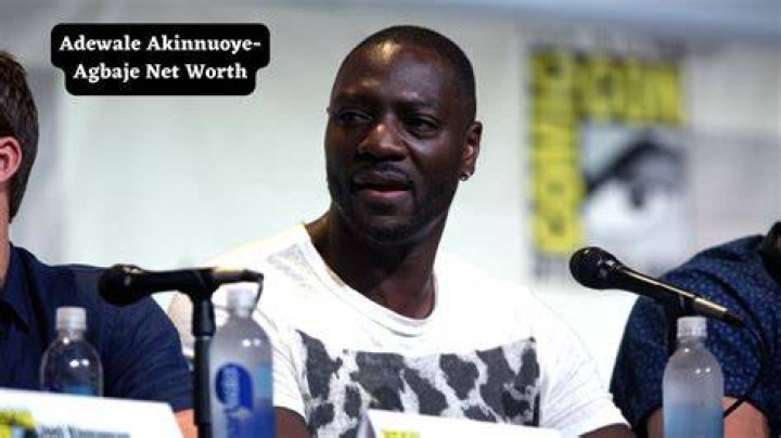 Adewale Akinnuoye-Agbaje Net Worth