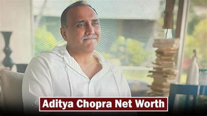 Aditya Thayi Net Worth