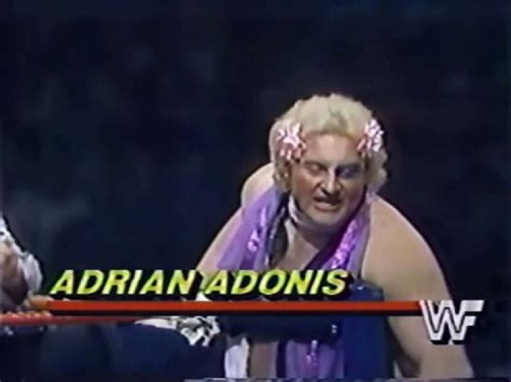 Adrian Adonis Net Worth