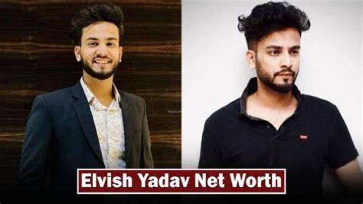 Advika Yadav Net Worth