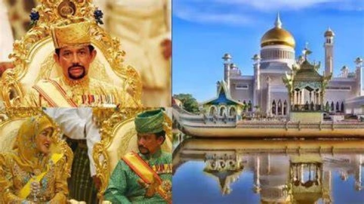 Ali Sultan Net Worth