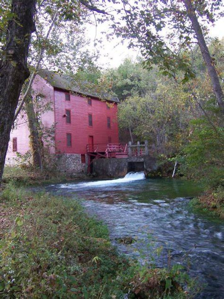 Alley Mills Net Worth