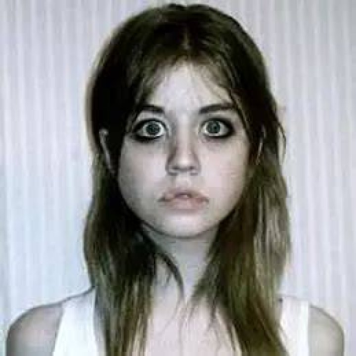 Allison Harvard Net Worth