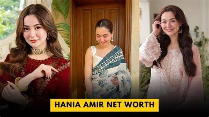 Amir Shahkhalili Net Worth