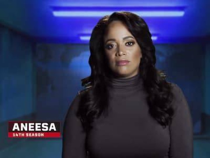 Aneesa Ferreira Net Worth