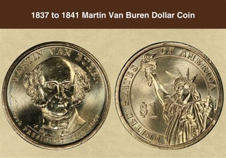 Anita Van Buren Net Worth