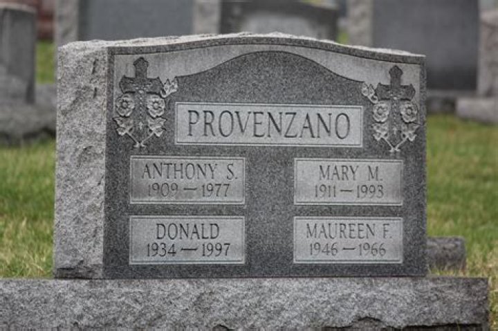 Anthony Provenzano Net Worth
