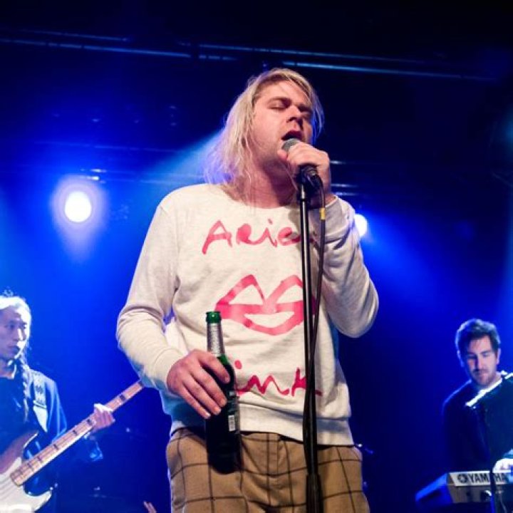 Ariel Pink Net Worth