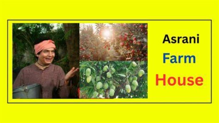 Asrani Net Worth