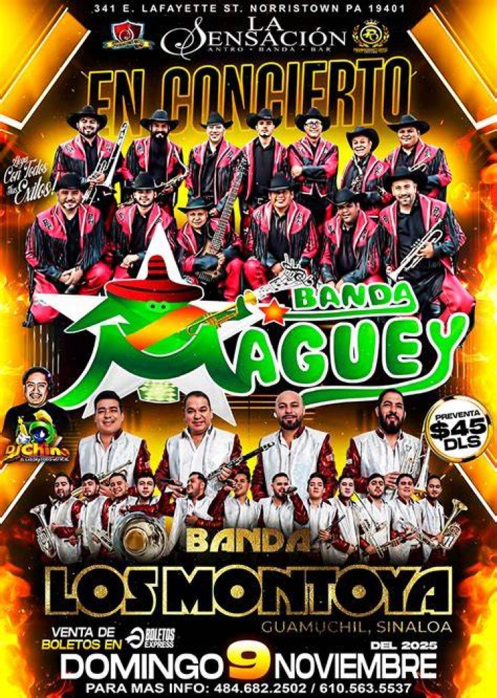 Banda Maguey Net Worth