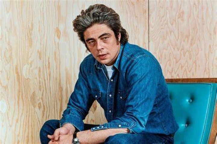 Benicio Del Toro Net Worth