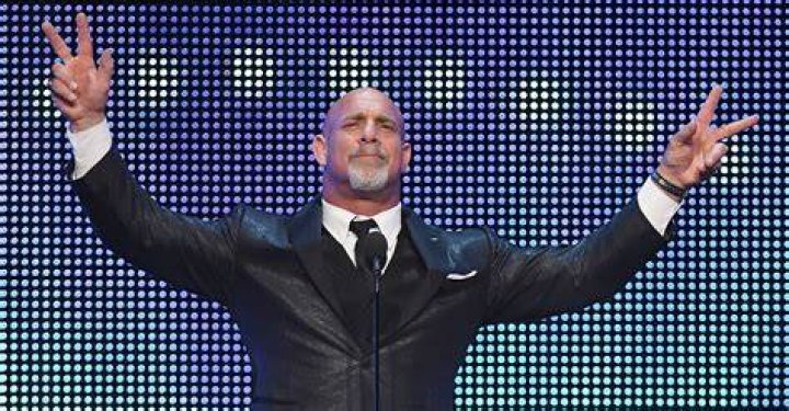Bill Goldberg Net Worth