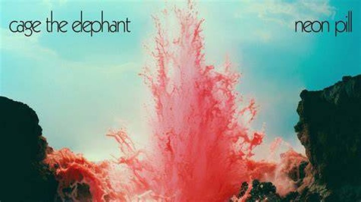 Cage the Elephant Net Worth