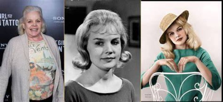 Carroll Baker Net Worth