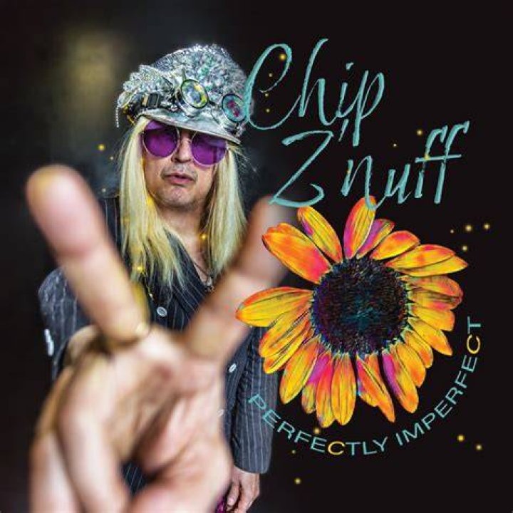 Chip Z’Nuff Net Worth