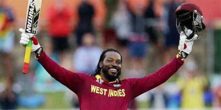 Chris Gayle Net Worth