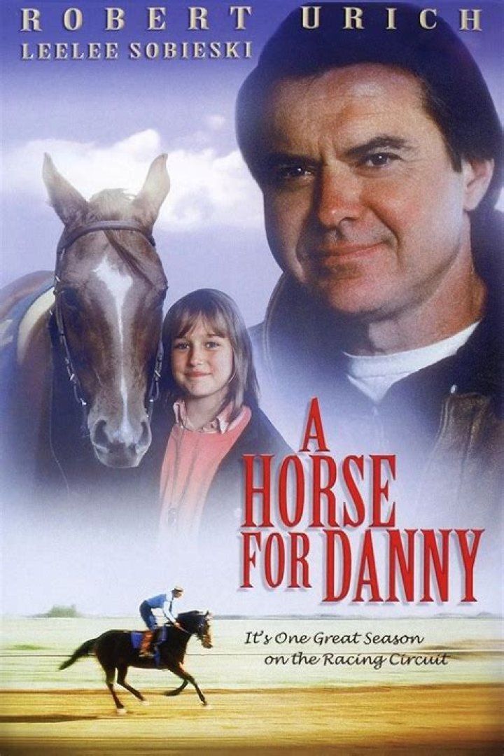 Danny the Wonder Pony Net Worth