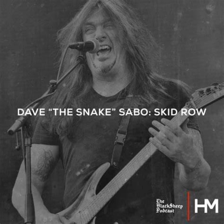 Dave ‘The Snake’ Sabo Net Worth