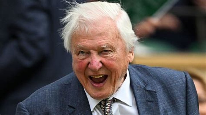 David Fielding Net Worth