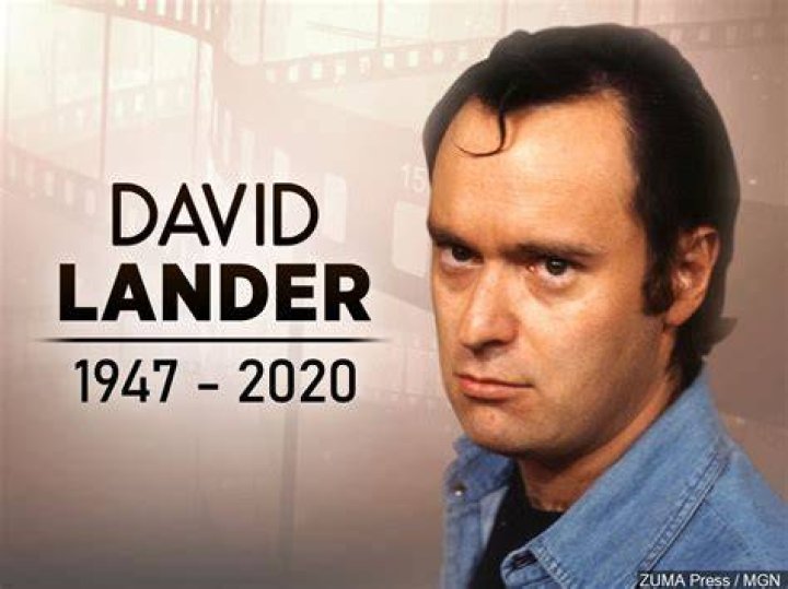 David L. Lander Net Worth