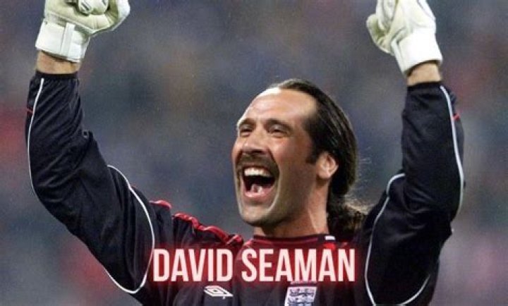 David Seaman Net Worth