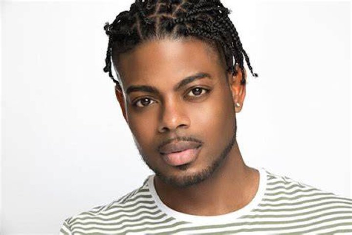 Davien Harlis Net Worth