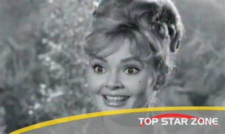 Diane Mountford Net Worth