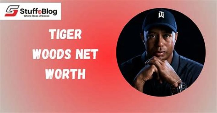 Donquez Woods Net Worth