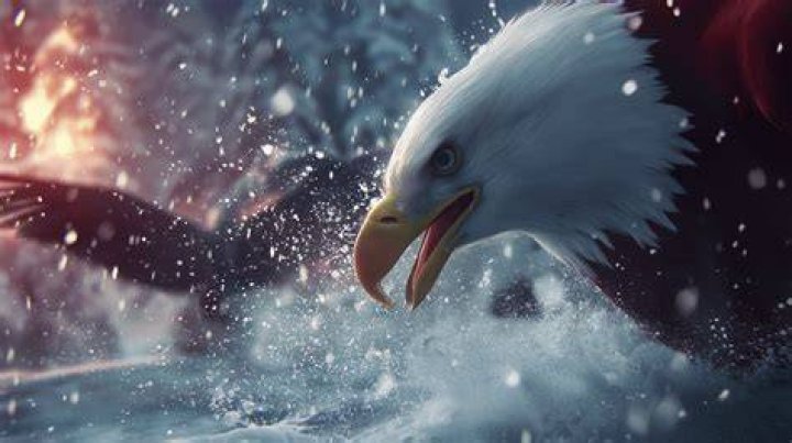 Eagle Egilsson Net Worth