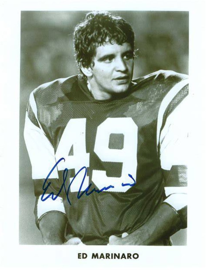 Ed Marinaro Net Worth