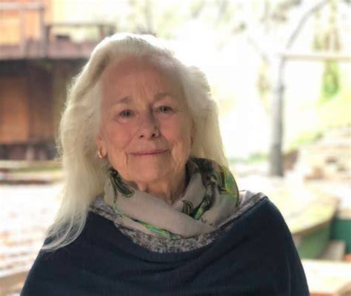Ellen Geer Net Worth