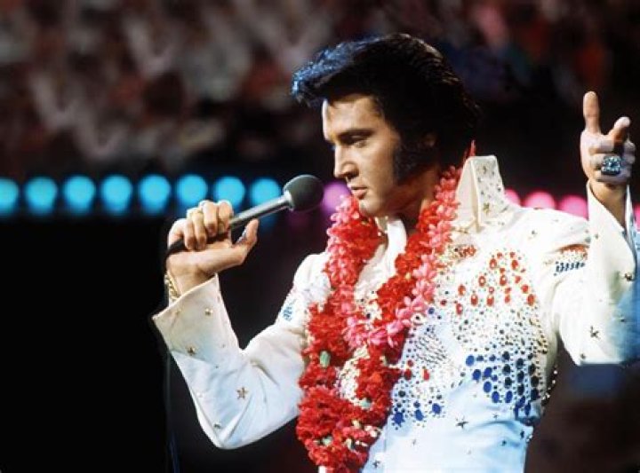 Elvis Nolasco Net Worth