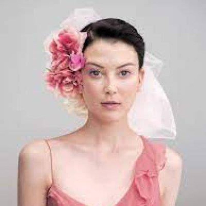 Elyse Sewell Net Worth
