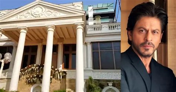 Hamid Lolayi Net Worth