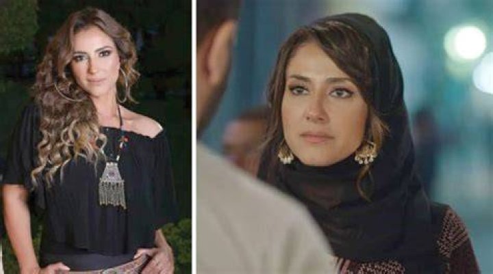 Hanan Metaweh Net Worth