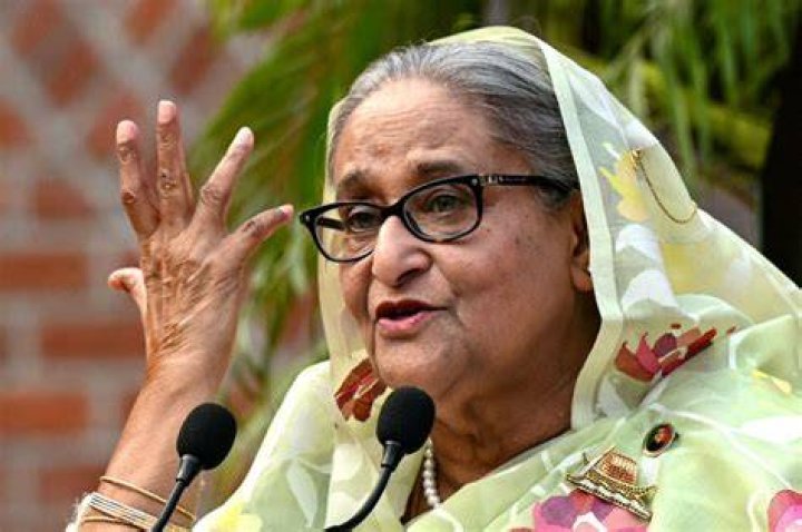 Hasina Haque Net Worth