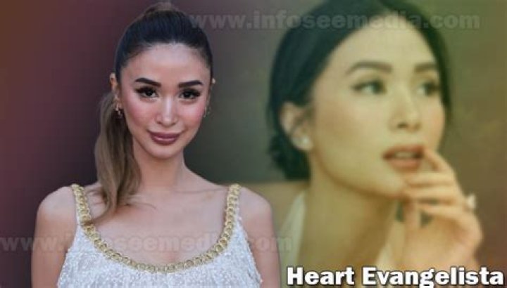 Heart Evangelista Net Worth
