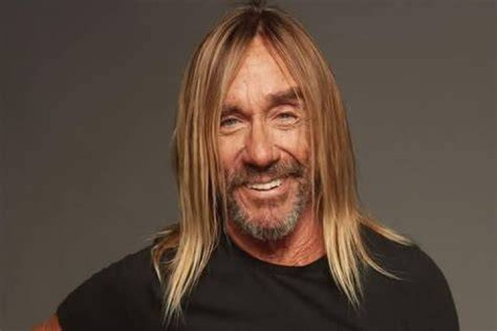 Iggy Pop Net Worth