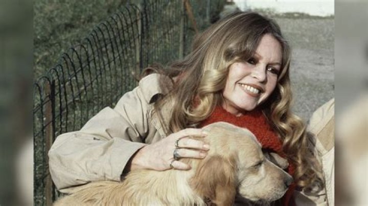 Jane Slaughter Net Worth