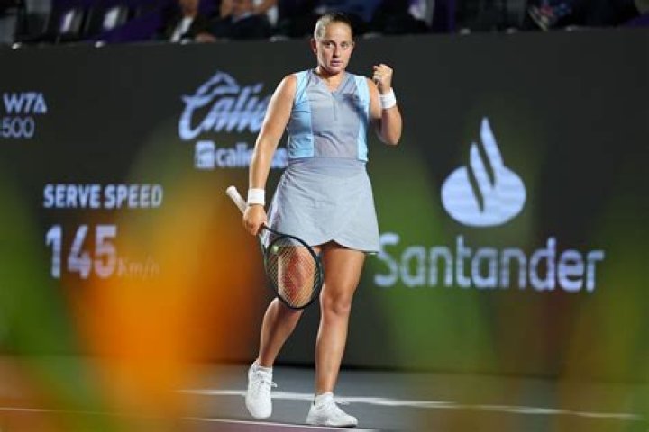 Jelena Percin Net Worth