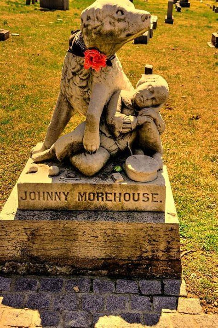 Johnny Morehouse Net Worth