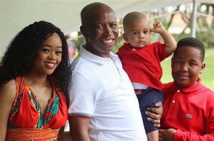 Julius Malema Net Worth