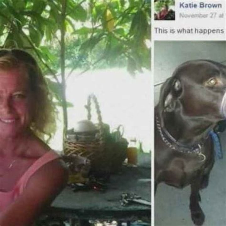Katie Brown Net Worth