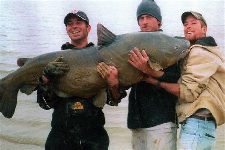 Keith ‘Catfish Dude’ Sutton Net Worth