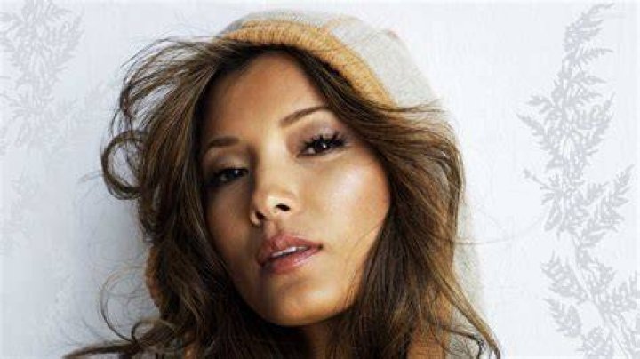 Kelly Hu Net Worth