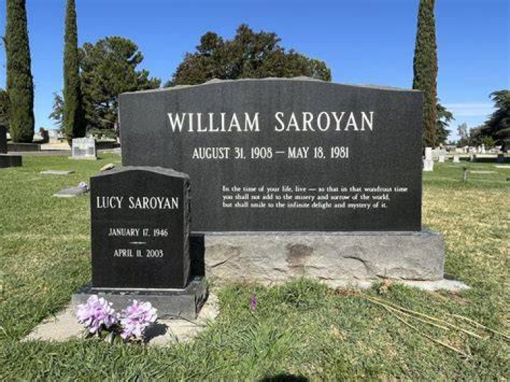 Lucy Saroyan Net Worth