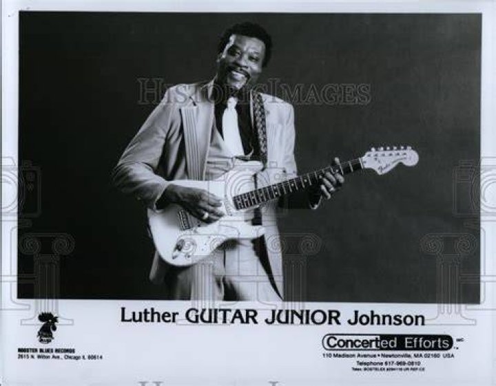 Luther ‘Guitar Jr.’ Johnson Net Worth