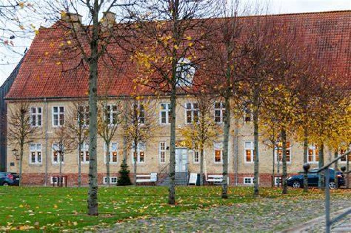 Malene Beltoft Olsen Net Worth
