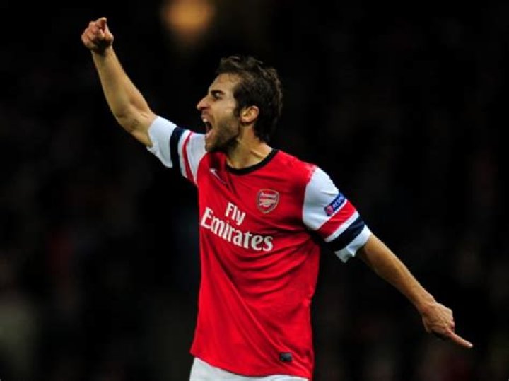 Mathieu Flamini Net Worth